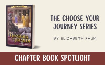 Chapter Book Spotlight: The Choose Your Journey Series by Elizabeth Raum