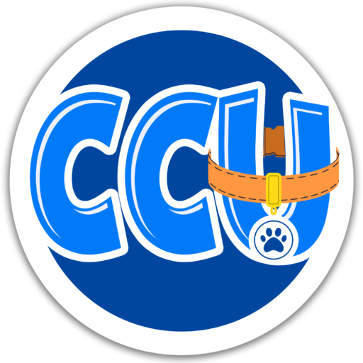 Middle Grade Spotlight: The Dragon and the Stone by Kathryn Butler | Amanda Trumpower Avatar